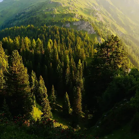 Sonnrain - Auszeit Auf 1400m - Aktiv Und Relaxt Apartamento