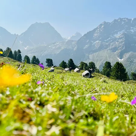 Sonnrain - Auszeit Auf 1400m - Aktiv Und Relaxt Apartament *