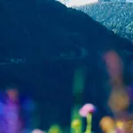 Sonnrain - Auszeit Auf 1400m - Aktiv Und Relaxt شقة فيندلس