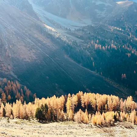 公寓 Sonnrain - Auszeit Auf 1400m - Aktiv Und Relaxt *