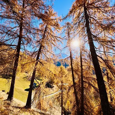 Apartment Sonnrain - Auszeit Auf 1400m - Aktiv Und Relaxt
